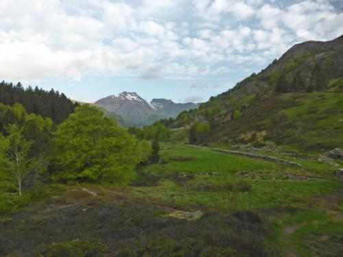 Chemin d´Arles, heading towards Somport.