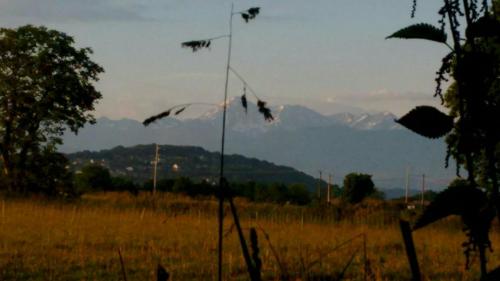 The Pyrenees from Tarbes.