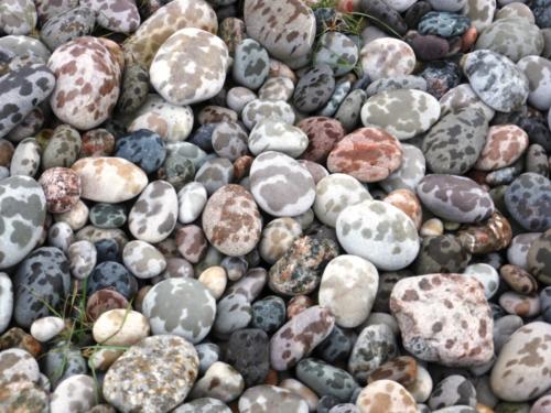Columba´s Bay pebbles